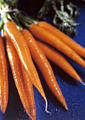 A Bunch of Freshly Washed Carrots