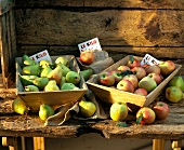 Äpfel und Birnen in Steigen mit französischen Preisschildern