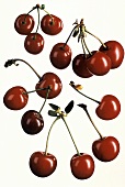 Several Red Cherries on White Background
