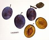 Whole and Halved Plums