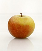 A Cox's Orange apple