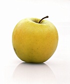 Ein Apfel der Sorte Golden Delicious