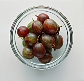 Gooseberries in glass bowl