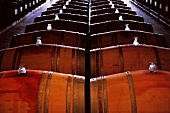 Wooden barrels in a wine cellar in the Chilean Maipo Valley