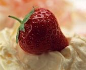 A strawberry on cream yoghurt