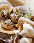 Mushrooms with herb sauce