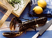 Fresh lobster with lemons