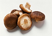 Several shiitake mushrooms
