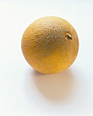 A galia melon