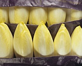 Chicory in a market crate with purple paper