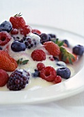 Fresh berries with sabayon