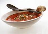 Tomato soup with vegetables