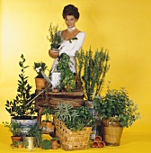Fresh herbs in pots, young woman behind