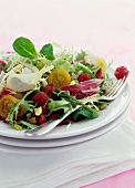 Mixed salad leaves with tomatoes and raspberries