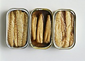 Sardines in three opened tins
