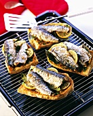 Crostini con le sarde (Gegrillte Sardinenbrote, Italien)