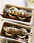 Grilled sardines on chard
