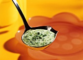 Creamed spinach sauce on a sauce ladle
