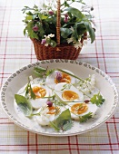 Eiervorässe: boiled eggs in herb sauce (Switzerland)