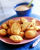 Madeleines on pink plate