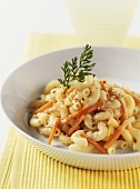 Elbow pasta with sesame and carrots for toddlers