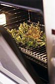 Drying herbs in the oven