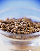 Coriander seeds in glass bowl