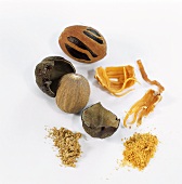 Nutmeg and a piece of mace, whole and ground