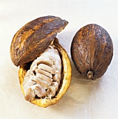Whole and opened cacao fruit and cocoa beans