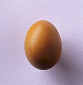 Brown hen's egg