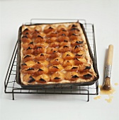 Apricot cake in baking tray