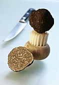 Black truffle with truffle brush and knife