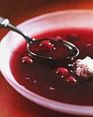 Cold cherry soup with beer and coconut cream