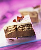 Piece of chocolate layer cake