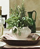 Bunch of fresh herbs as table decoration