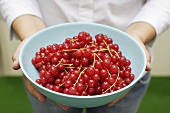 Woman holding dish of redcurrants