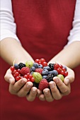 Hands holding fresh summer berries
