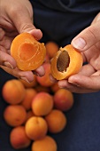 Hands holding two apricot halves