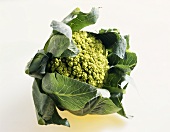 green cauliflower