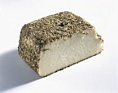 Brin d'Amour with herb crust from France