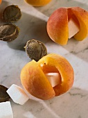 Making apricot dumplings: filling apricots with sugar cubes