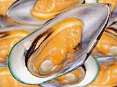 Green-shelled mussels from New Zealand, opened