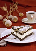 Piece of poppy seed cake with cream filling