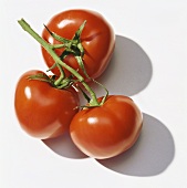 Three vine tomatoes