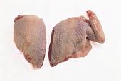 Pigeon breast with and without wing