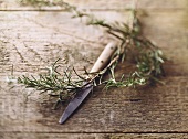 Sprig of rosemary with old kitchen knife on wooden platter
