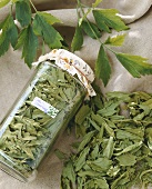 Lovage, fresh and dried in jar