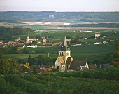 Wine village of Villedommange, Montagne de Reims, France