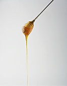 Honey dripping from honey dipper