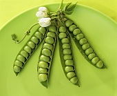 Pea pods with pea flowers on green plate